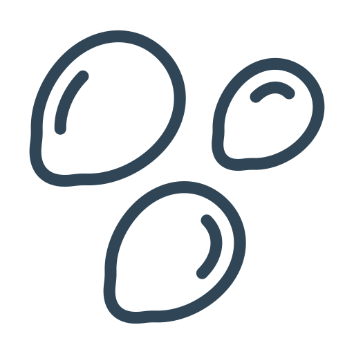 fenugreek seed wholesale export