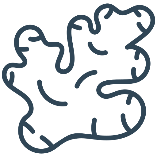 turmeric wholesale export