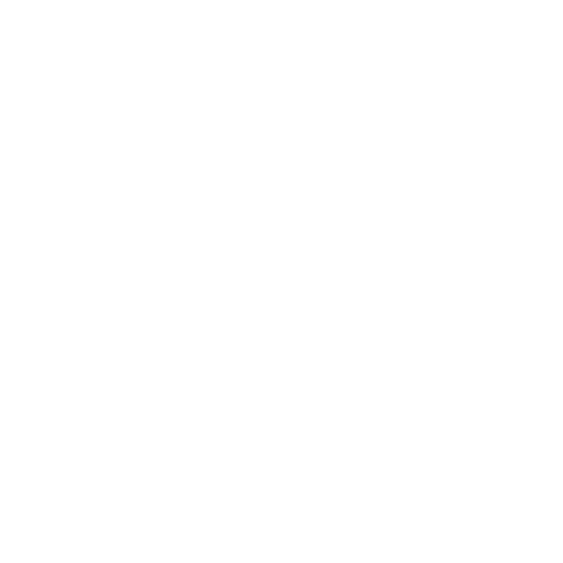 Vehicle Icon