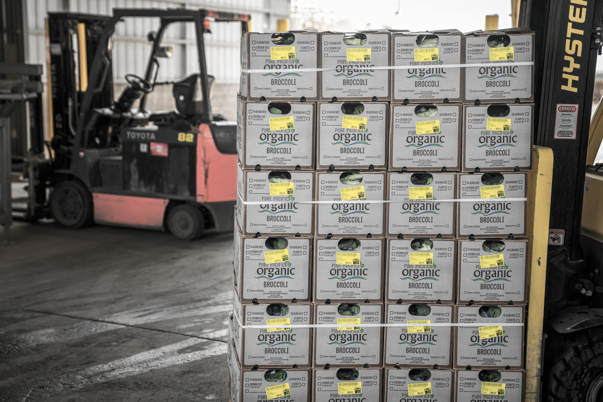 Fruits and Vegetables wholesale export cover image